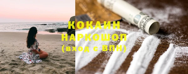 дживик Богородск
