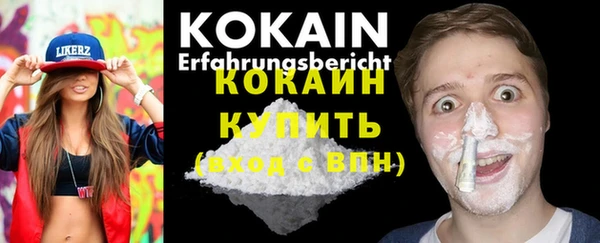 дживик Богородск