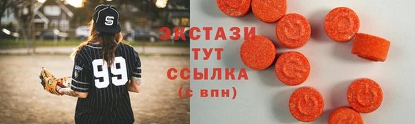 дживик Богородск