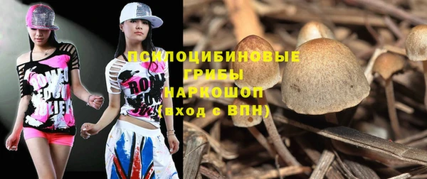 дживик Богородск